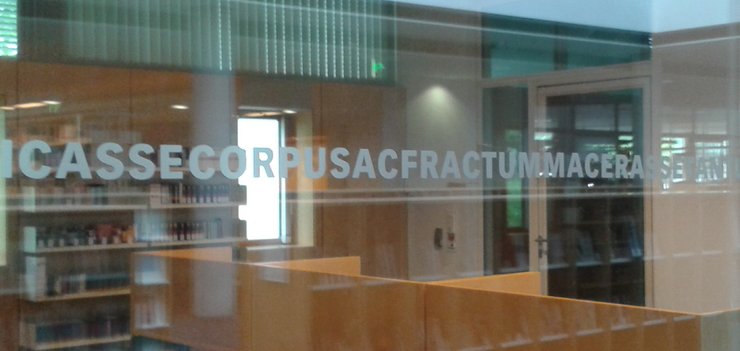 art in architecture: inscription as passage protection in the Erfurt University Library