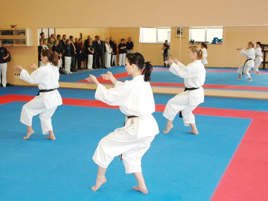 Karate in der Sporthalle