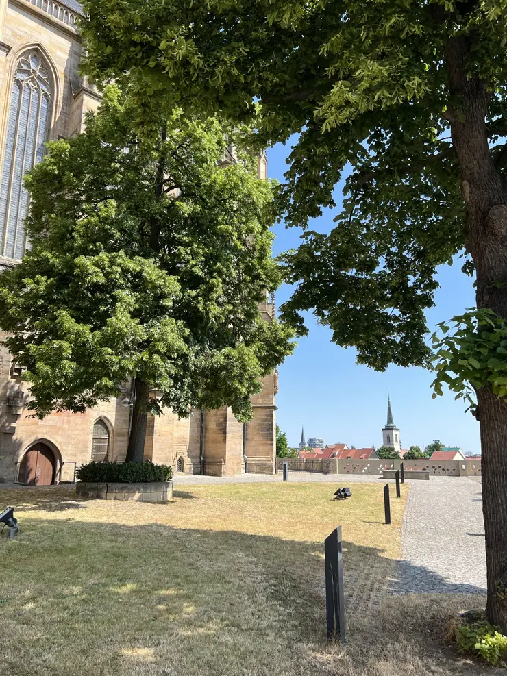 Blick vorbei am Dom auf Erfurt