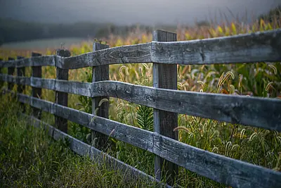 Western