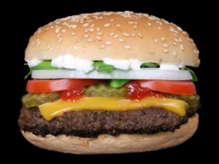 Bild zeigt einen Hamburger