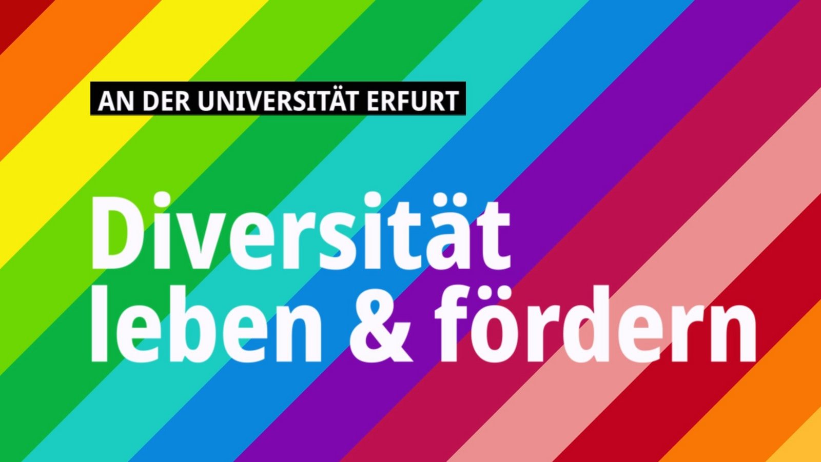 [Translate to English:] Vorschaubild Video Diversität leben Uni Erfurt