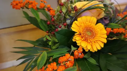 Blumen im Auditorium Coelicum an der Katholisch-Theolgischen Fakultät der Universität Erfurt