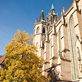 Außenansicht Erfurter Dom, Domstraße 10, Katholisch-Theologische Fakultät, Universität Erfurt