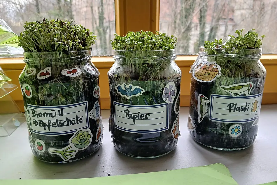 Bunt beklebte Gläser mit Kressepflanzen