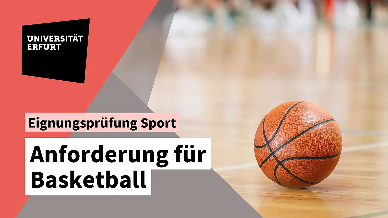 Vorschaubild Basketball