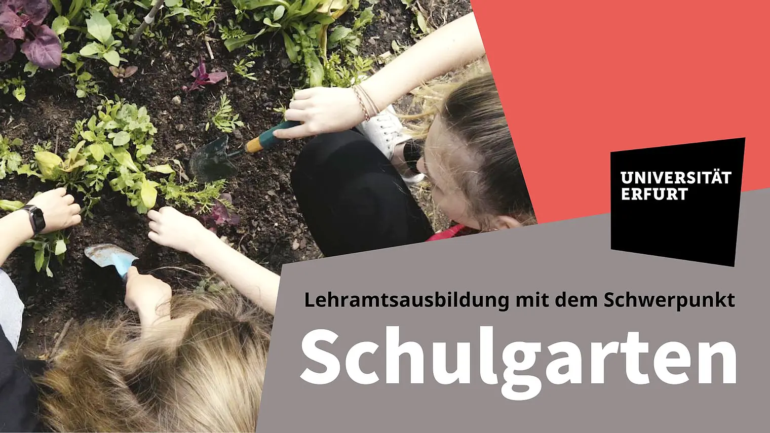 Vorschaubild Video Schulgarten