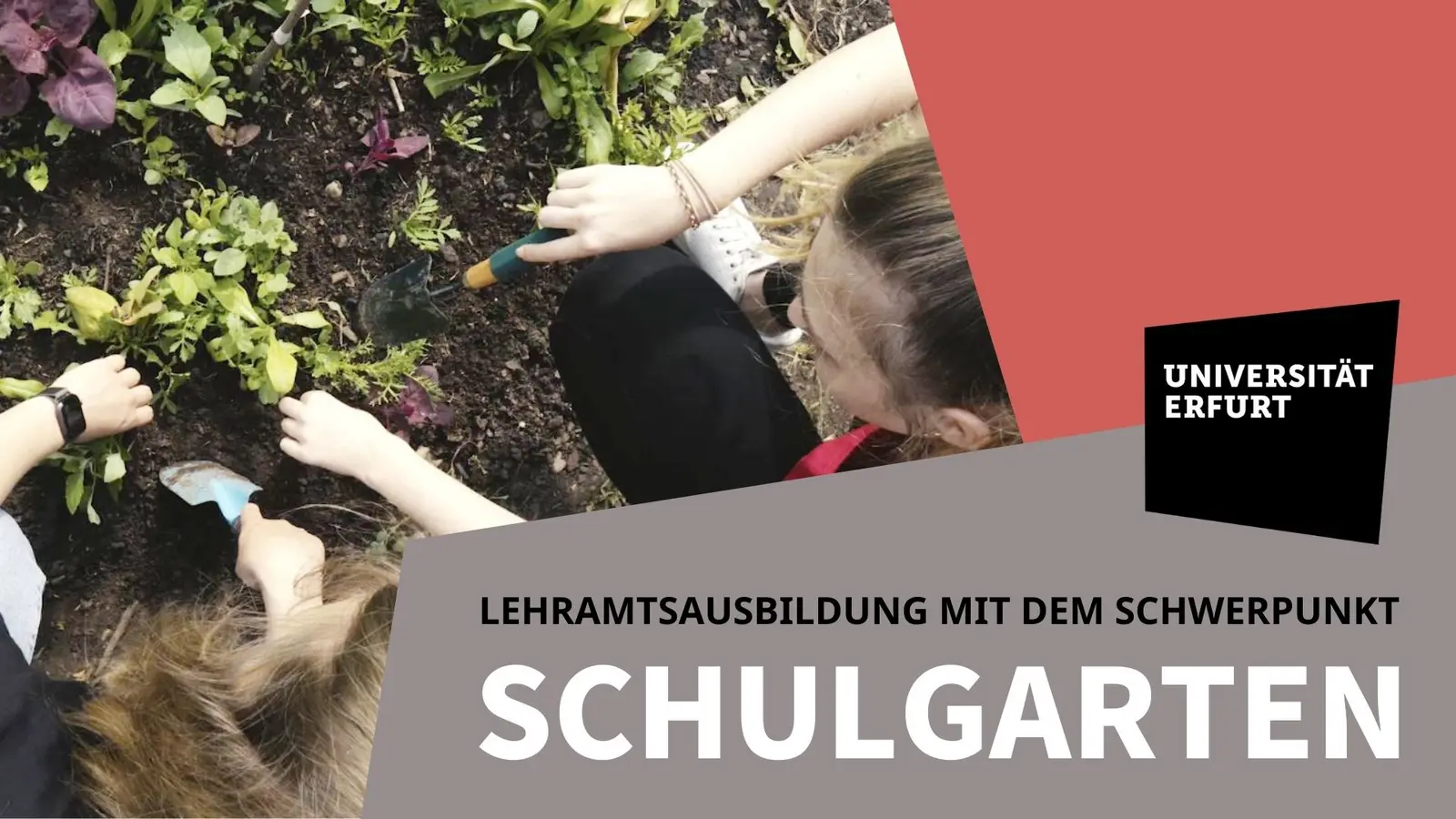 Vorschaubild Video Schulgarten