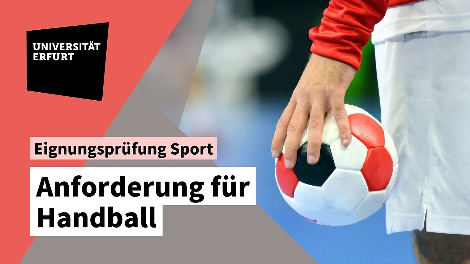Vorschaubild Handball