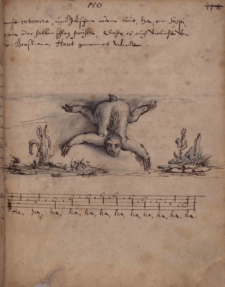Depiction of a sloth in Caspar Schmalkalden's handwritten travelogue