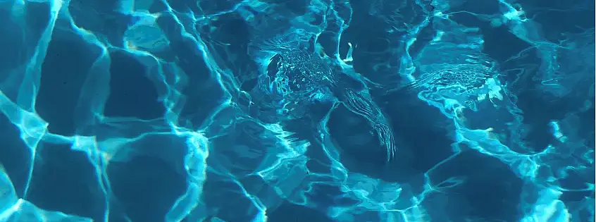 [Translate to English:] Wasser