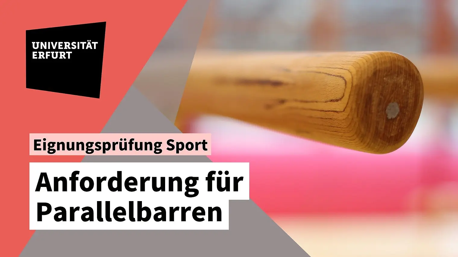 Vorschaubild Parallelbarren