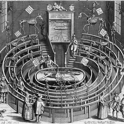 Early modern depiction of the anatomical lecture hall in Leiden
