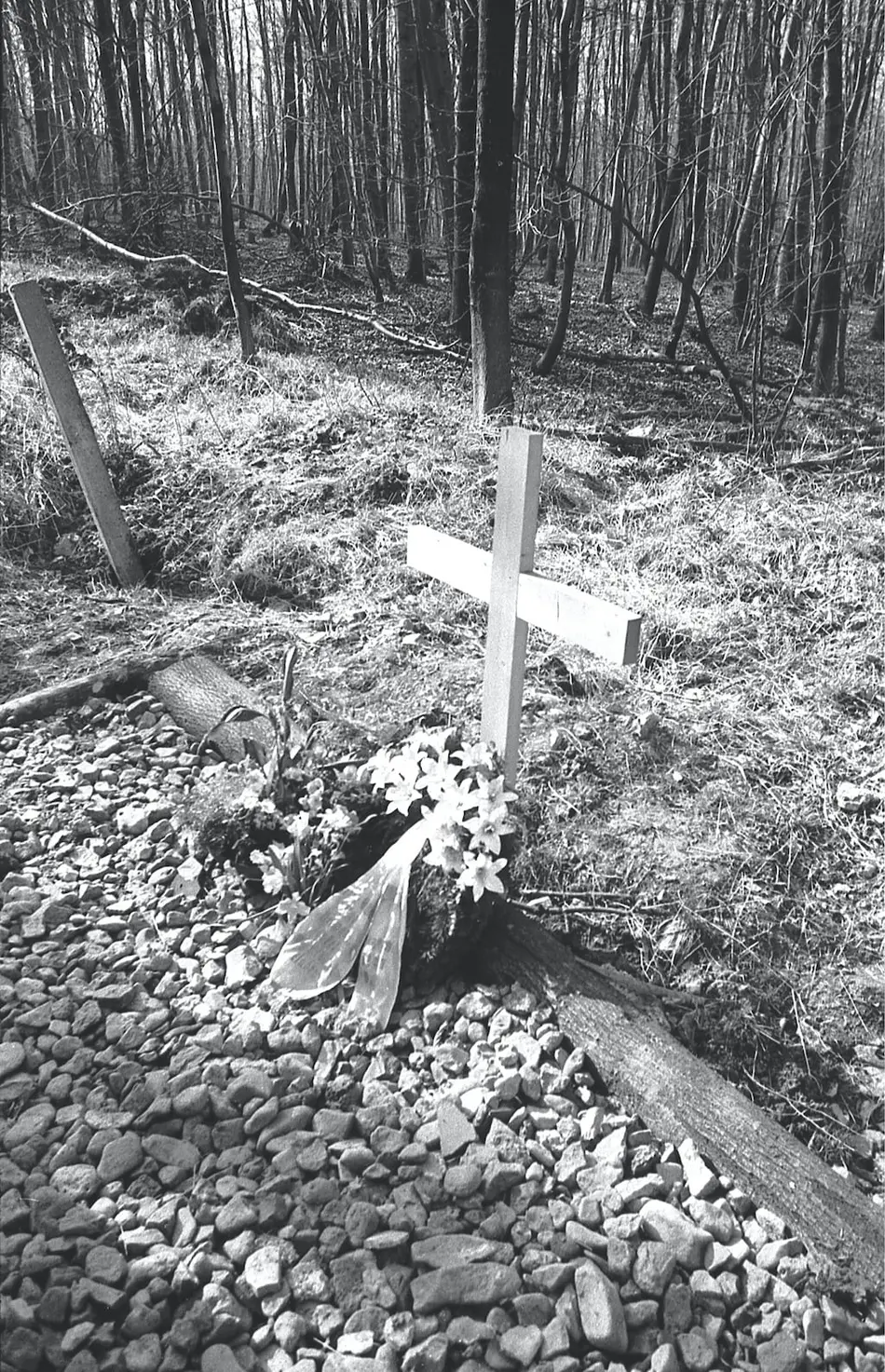 Provisorisches Holzkreuz als erstes Gedenkzeichen für die verstorbenen Speziallager-Insassen auf dem Gräberfeld I am Nordhang des Ettersberges bei Weimar, 31. März 1990.