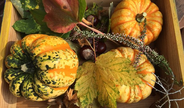 Herbstarrangement (Kürbisse, Kastanien, bunt gefärbte Blätter, Bucheckern und Heidekraut in einer Kiste)
