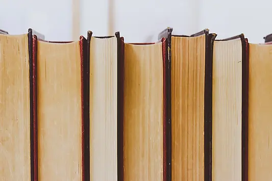Buecher, Publikationen Uni Erfurt