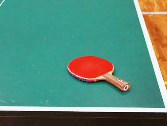 Tischtennisplatte mit Schläger