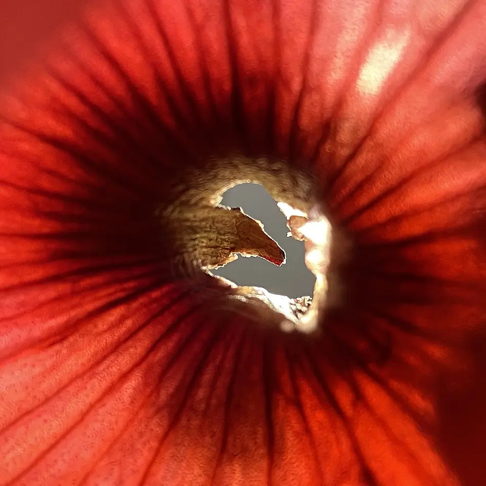 Zbyněk Fišer Workshop Slawistik WS 25_26