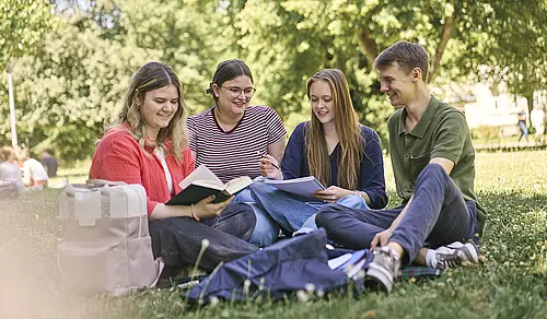 Studierende Gruppe Wiese Campus Frühling