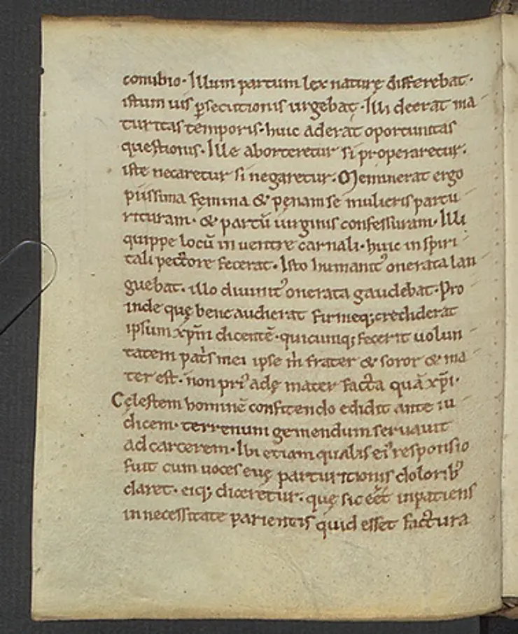 Mittelalterliche Handschrift F. 134v