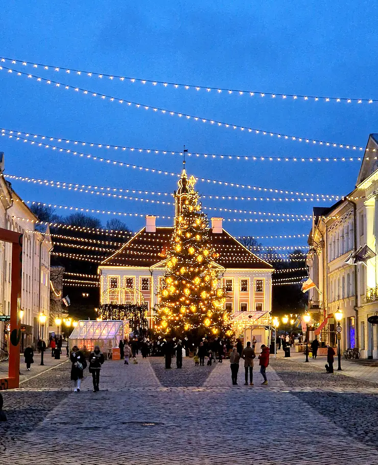 Weihnachtsmarkt in Tartu - auf historischem Platz steht Tannenbaum mit Lichterketten