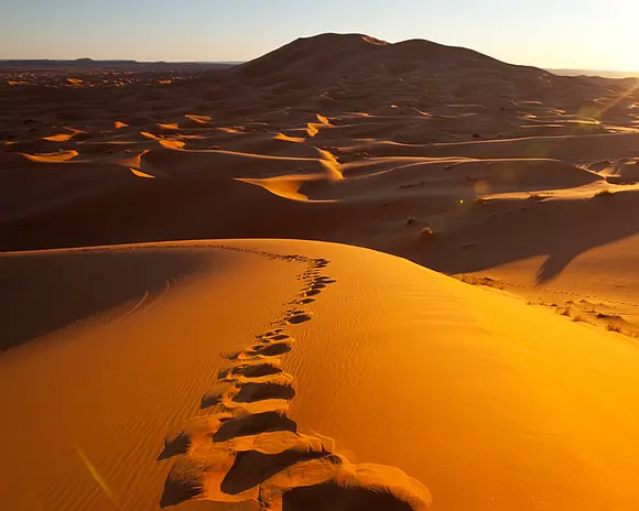 Fußspuren im Wüstensand