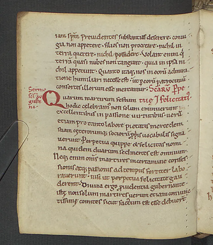 Mittelalterliche Handschrift F. 132v: Sermo Erfurt 1 trägt den Titel "De Perpetua et Felicitate"