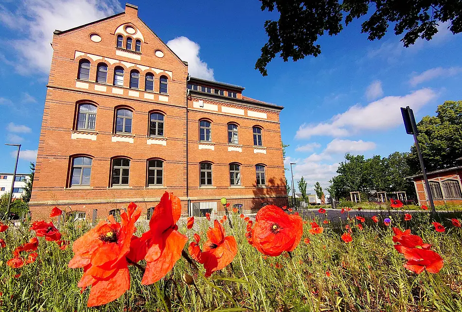 Poppies in front of the Brandt School
