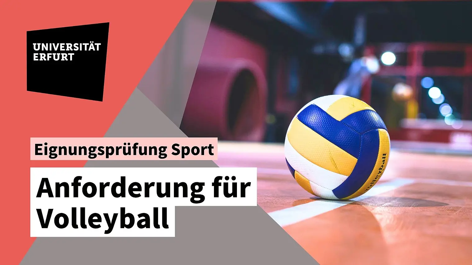 Vorschaubild Volleyball