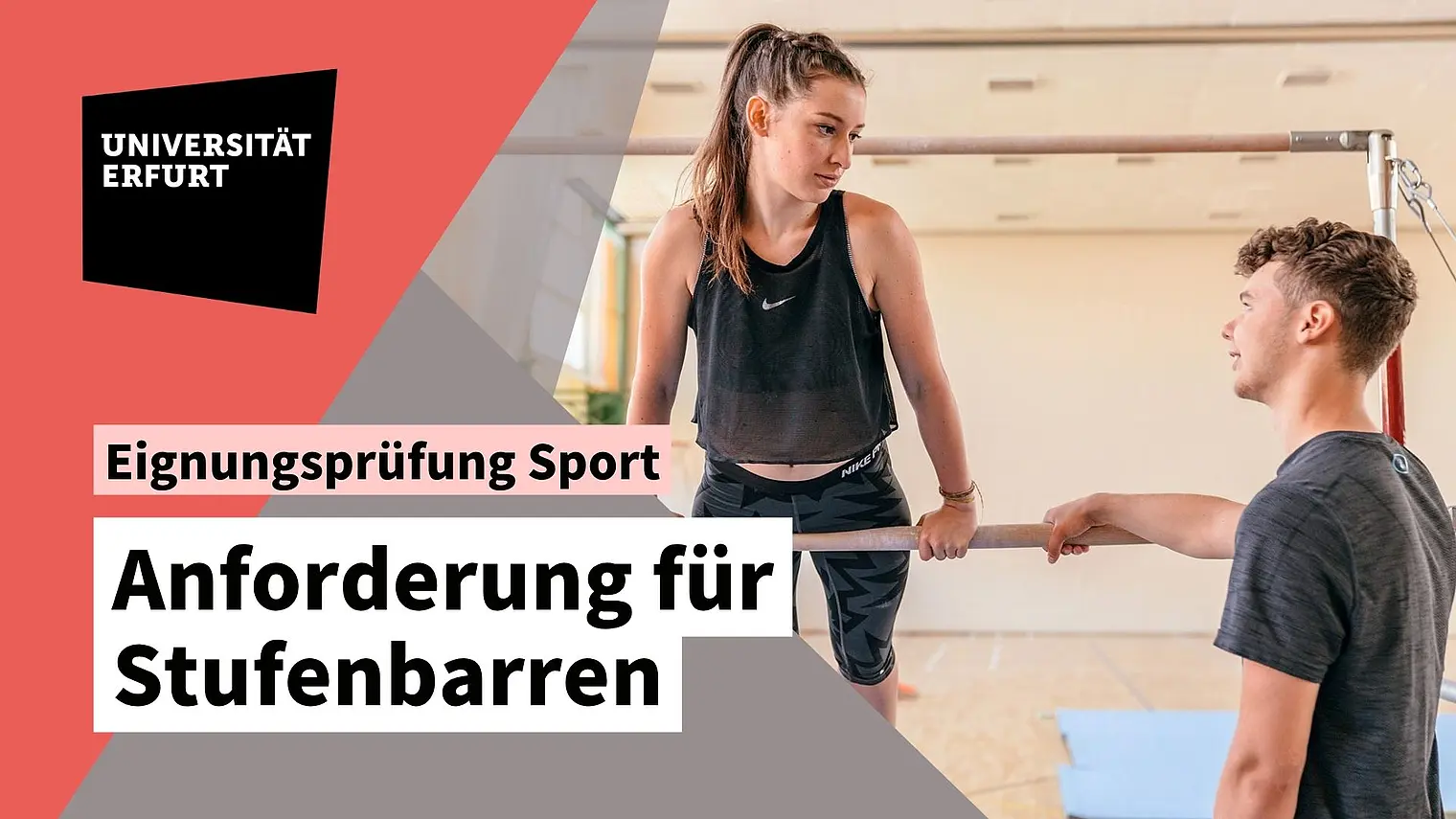 Vorschaubild Stufenbarren