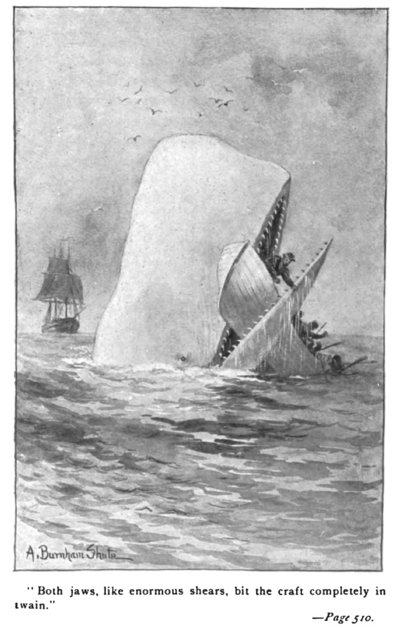 Illustration Moby Dick