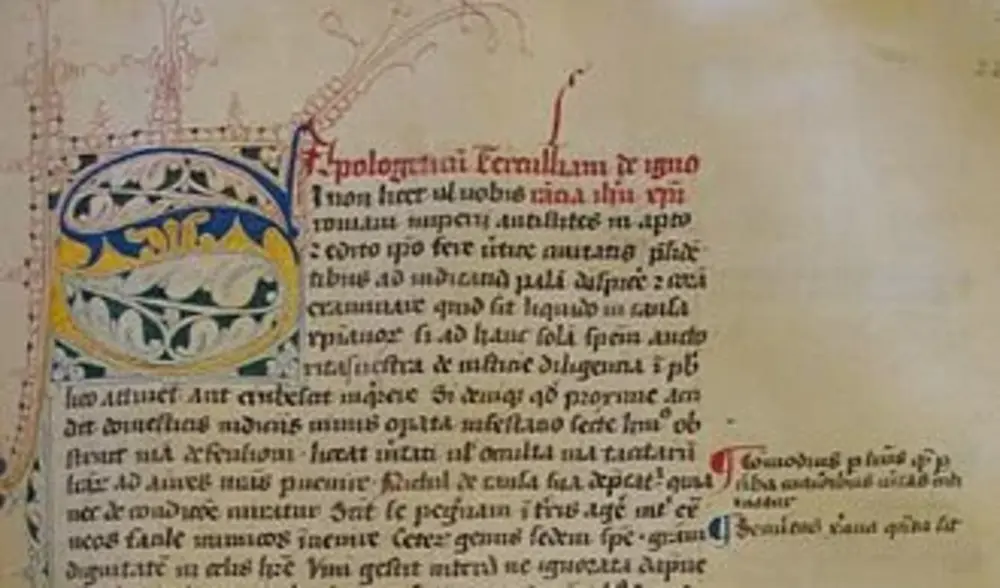 Seite eines alten Textes auf Latein