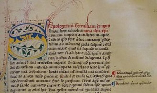 Seite eines alten Textes auf Latein