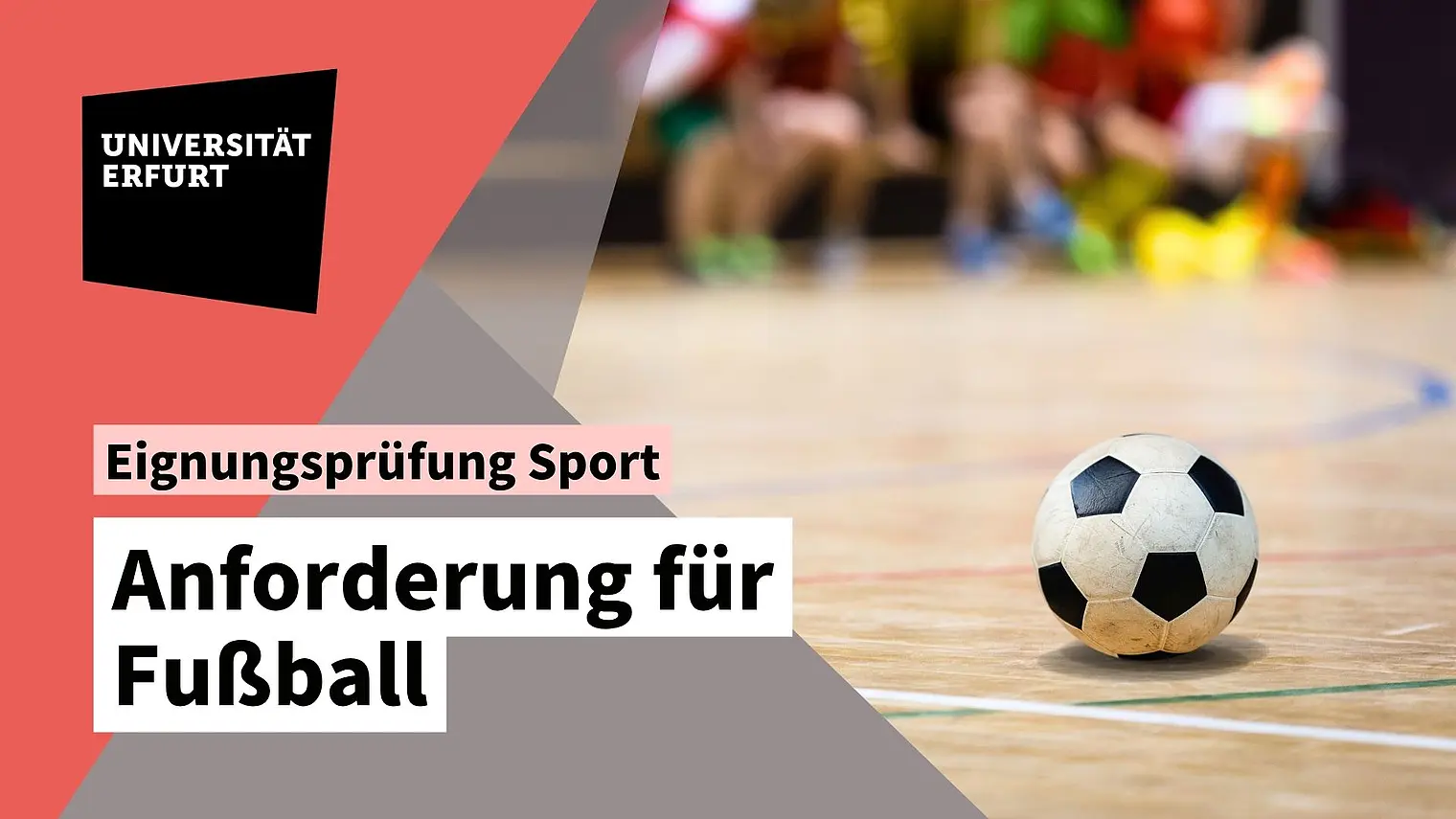 Vorschaubild Fußball
