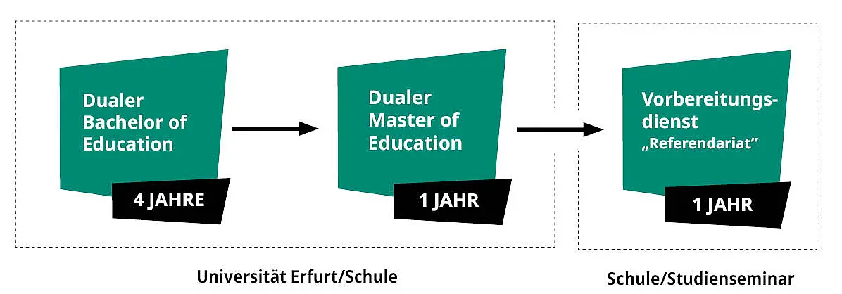 Grafik Bachelor und Master Aufbau