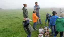 Kartoffelernte
