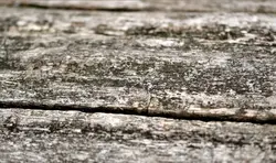 Nahaufnahme eines alten Stück Holz