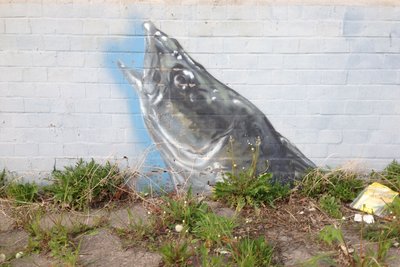 Mural of a fish coming up for air