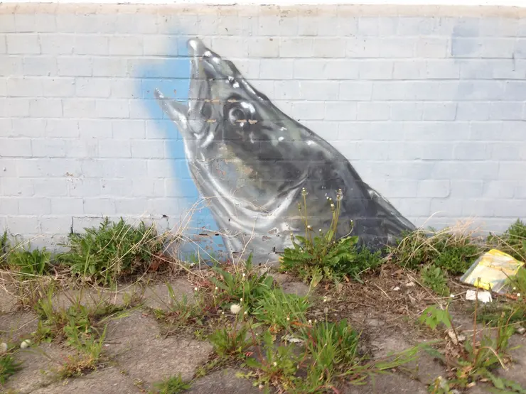 Mural of a fish coming up for air