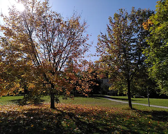 Die Villa Martin im Herbst