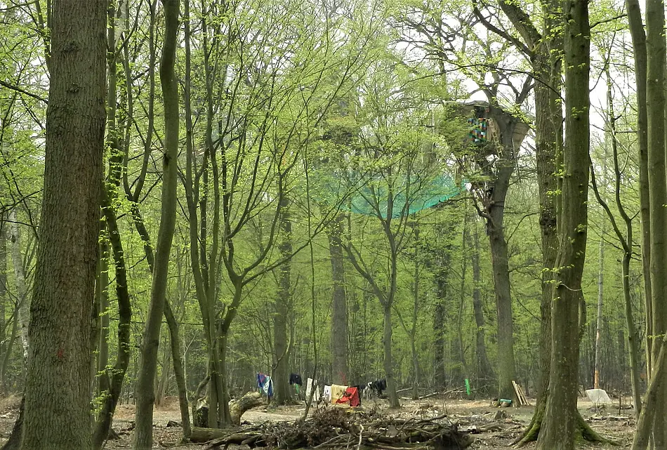 Hambacher Forst
