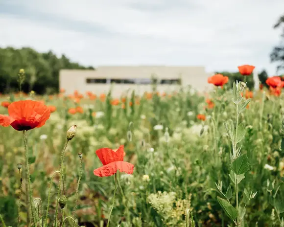 Conference venue, lecture building
