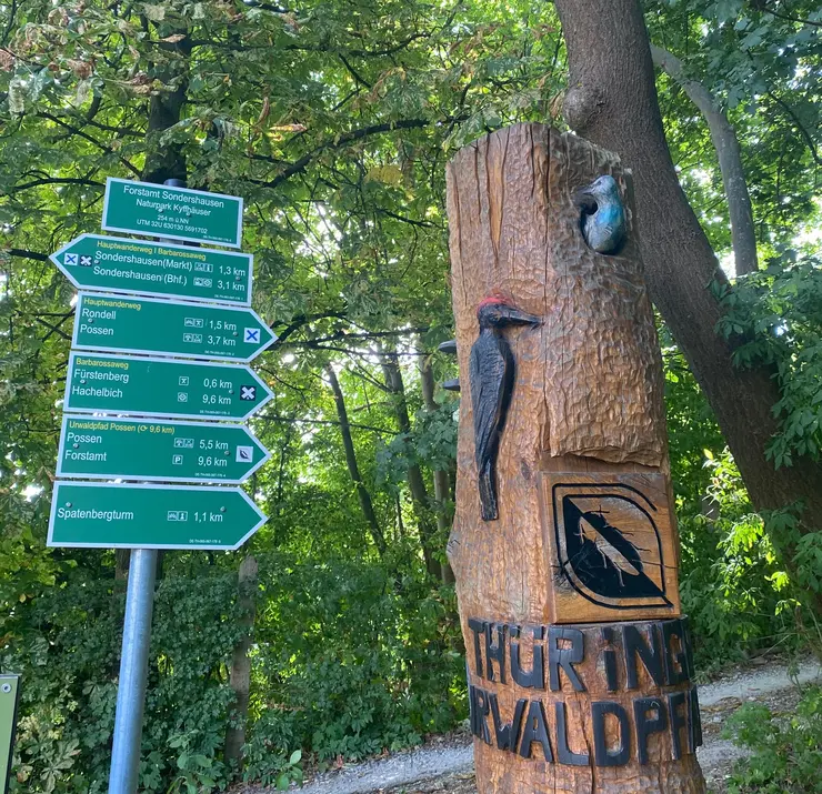 Wegweiser im Wald 