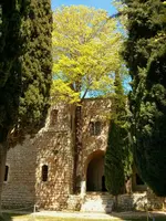 Eine antike Mauer und Bäume