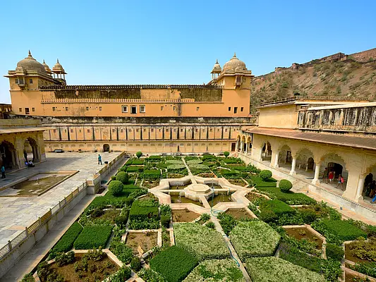 Amber garden