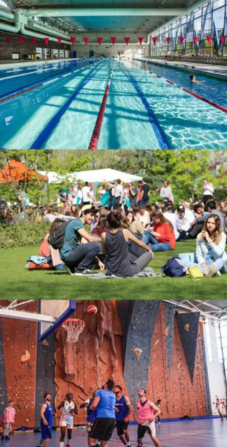 3 Fotos der Universität Paris Nanterre: Schwimmbad, Studierende auf einer Wiese, Basketballfeld und spielende Studierende