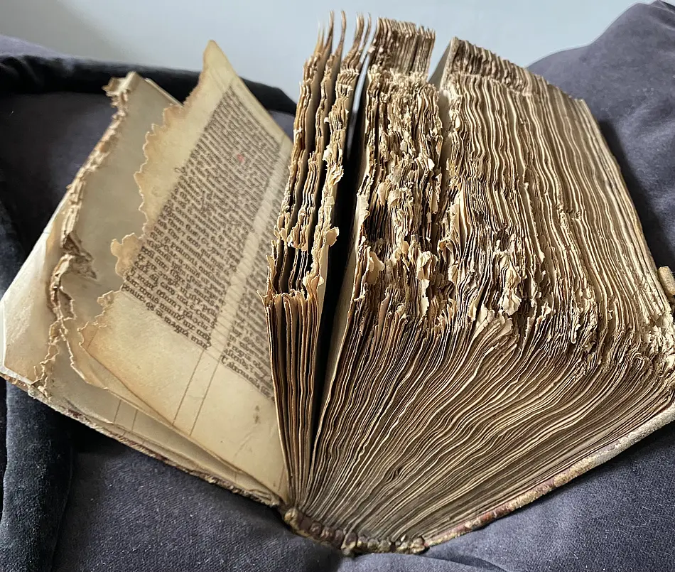 Handschrift Bibliotheca Amploniana, aufgeblättert, in schlechtem Zustand