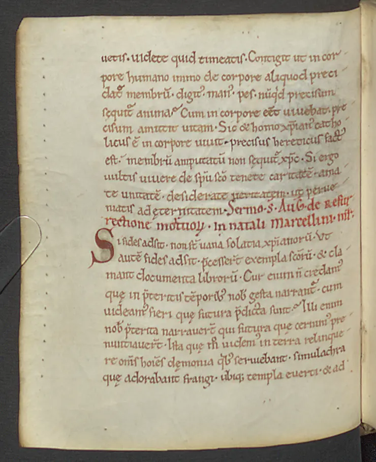 Mittelalterliche Handschrift F. 169: Sermo Erfurt 5 "De resurrectione mortuorum in natali Marcellini martyris" handelt von der Auferstehung der Toten