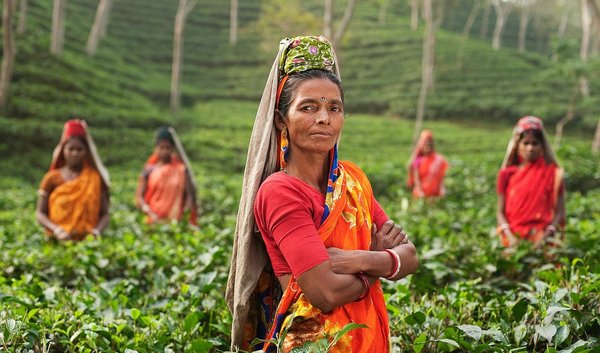 Indische Frau auf Plantage