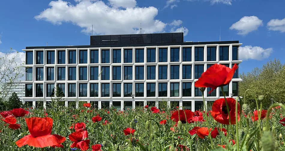 Forschungsbau "Weltbeziehungen" mit Wildblumenwiese